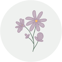 Dried Flowers