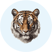 Tigerhead_OK