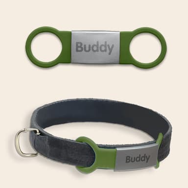 Placa identificativa para perros y gatos personalizada 