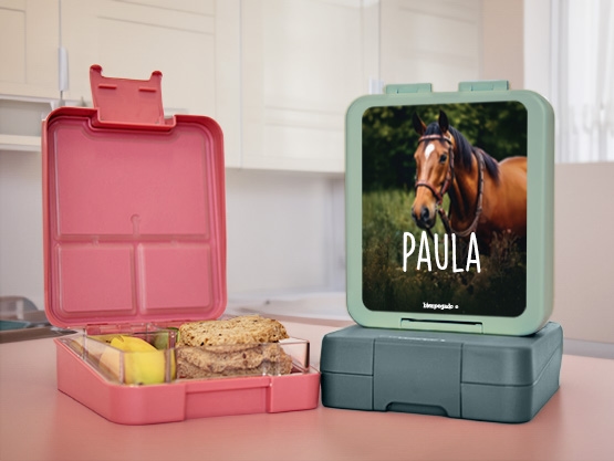 Fiambrera personalizada Mundo Real