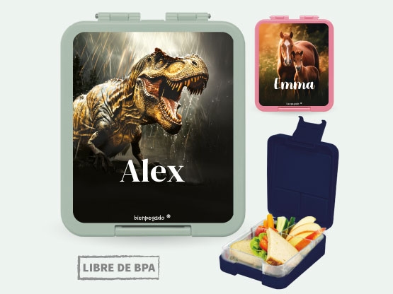 Fiambrera personalizada Mundo Real