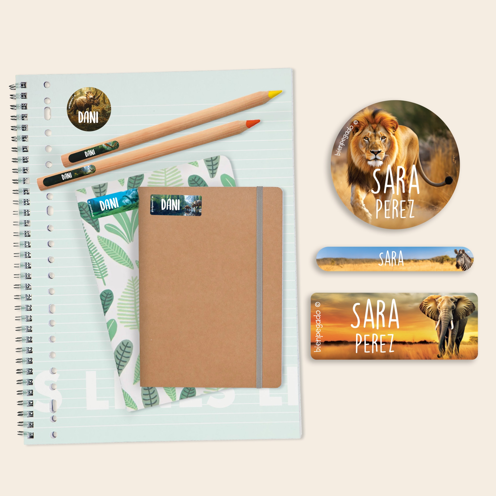 Kit de etiquetas personalizadas Mundo Real
