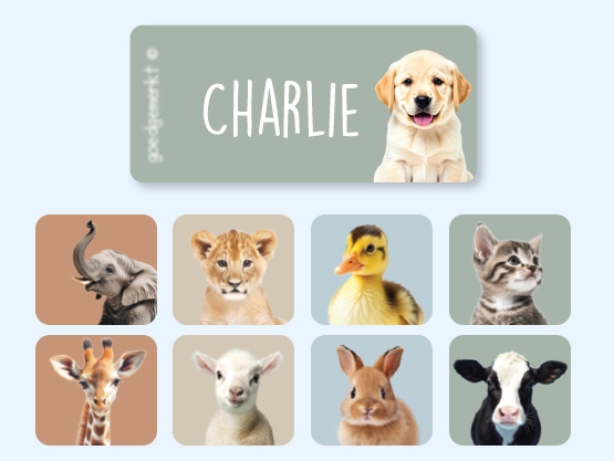 Etiquetas para ropa Mundo Real