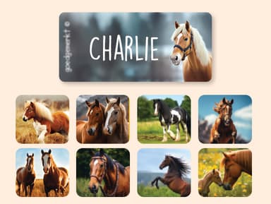 Etiquetas para ropa Mundo Real