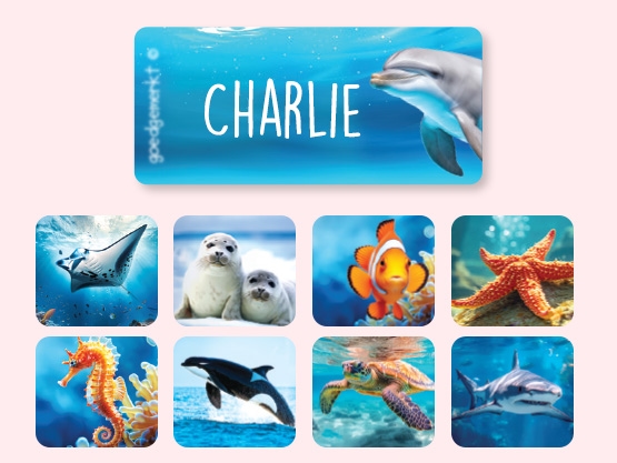 Etiquetas para ropa Mundo Real