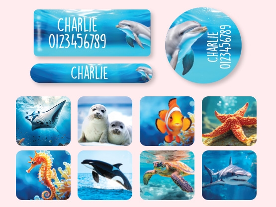 Kit de etiquetas personalizadas Mundo Real