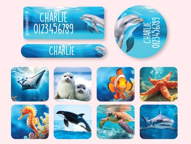 Kit de etiquetas personalizadas Mundo Real